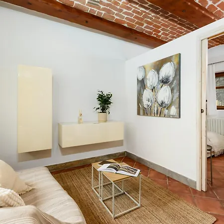 Apartment Nel Cuore Di - Intero Con Volte *